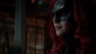 batwoman110_1698.jpg