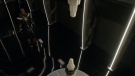 arrow808_0077.jpg