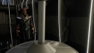 arrow808_0084.jpg