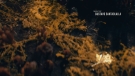 tlou_s1openingcredits_scnet_0016.jpg