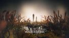 tlou_s1openingcredits_scnet_0044.jpg