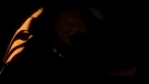 Filename=whatif109_0274.jpeg
Filesize=44KiB
Dimensions=1920x1080
Date added=Nov 01, 2021 whatif109_0274.jpeg